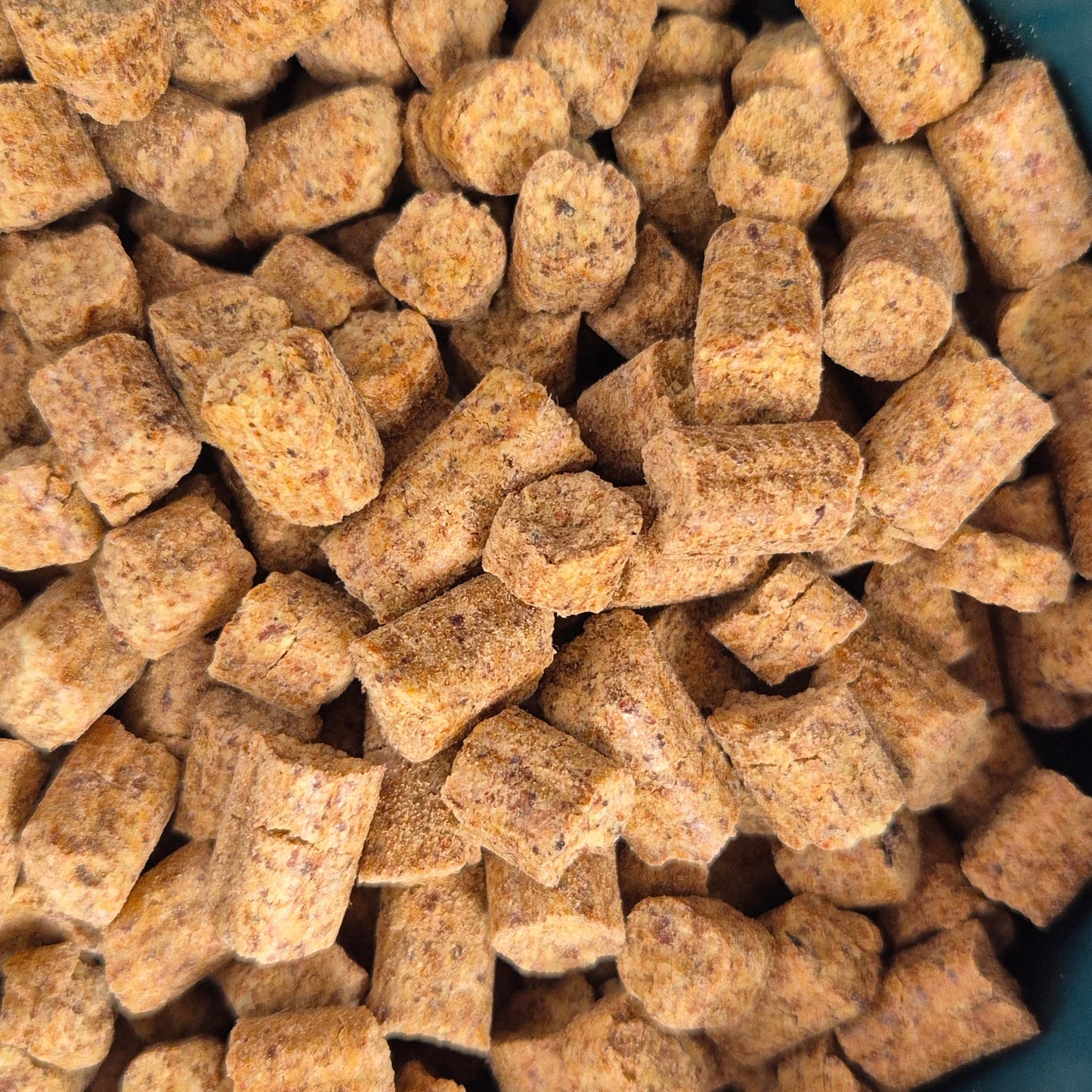 Crocchette Agnello 55%: Nutrizione Superiore per Cani di Tutte le Razze - Grain Free